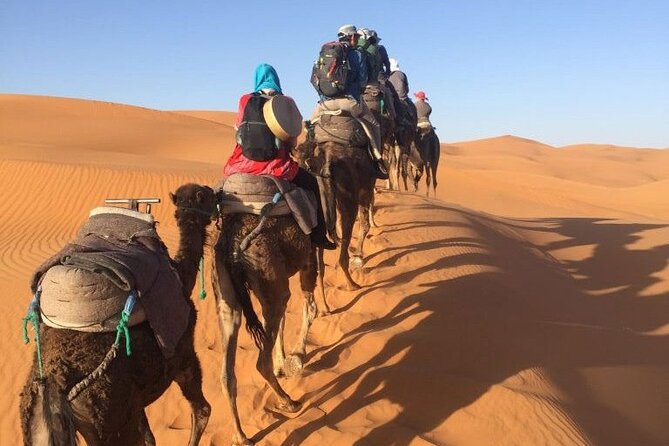 7 Days Tour From Casablanca Visiting Chefchaouen, Fes and Desert, - Traveler Reviews and Ratings