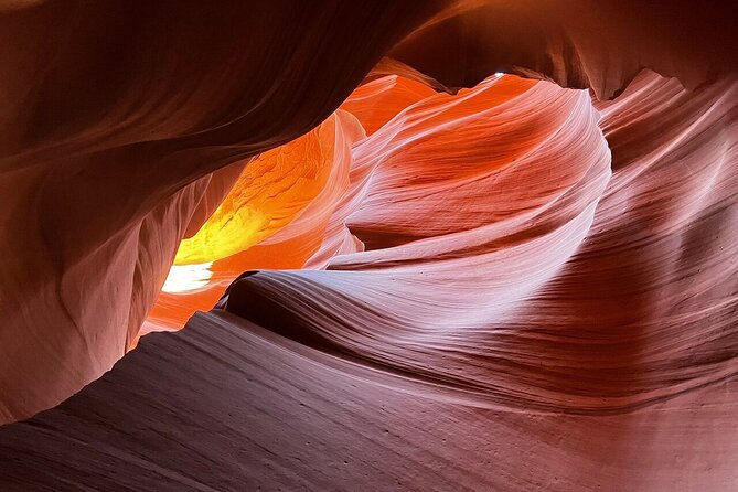 7 Days Tour of Los Angeles, Vegas, Yellowstone and Salt Lake City - Accessibility and Accommodations