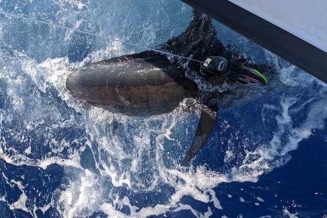 8 Hour Private Fishing Charter in Kailua-Kona, Hawaii - Frequently Asked Questions