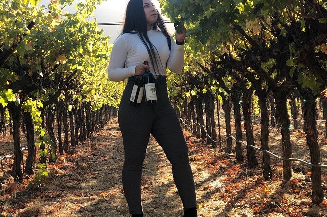 8 Hours 12 Passengers Limo Bus for Napa or Sonoma Wine Tour - Recommended Wine Stops