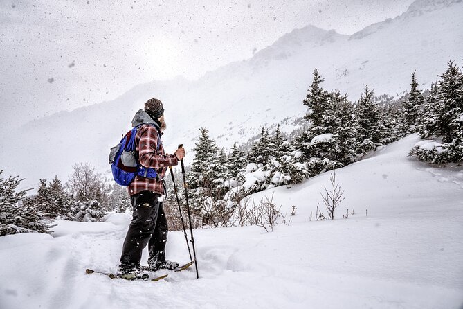 Advanced Snowshoeing Adventure - What to Expect on the Tour