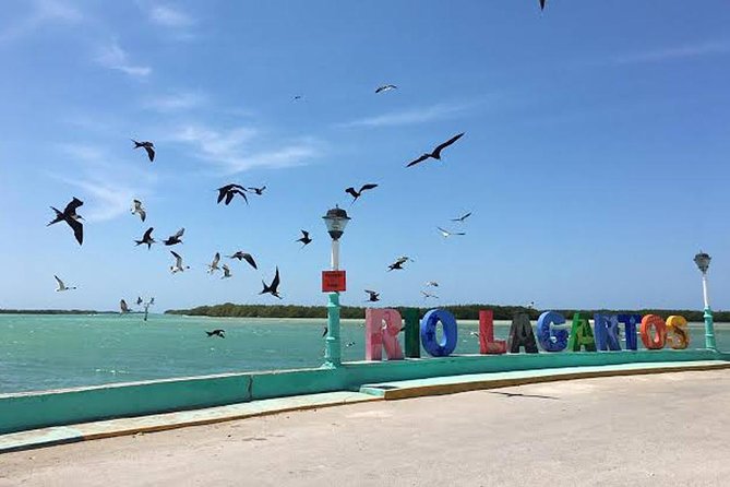 Adventour Day: Coloradas and Rio Lagartos Excursion From Cancun! - Experience Highlights