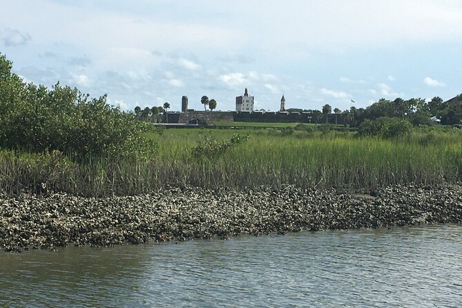 Adventure Boat Tours - One Hour Dolphin/Eco/History/Sightseeing Boat Tour - Seasonal Events and Recommendations