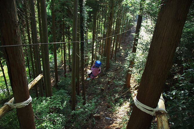 Aerial Athletics (Zipline Adventure) - Participation Requirements: Who Can Join?