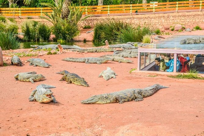 Agadir Crocoparc Tickets & Shuttle Service - Booking and Cancellation Policy