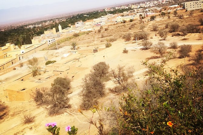 Agadir Day Trip to ​Taroudant & Tiout - Highlights of Tiout