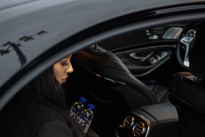 Airport Limousine Transfer: Arlanda Airport to Seaport Stockholm 1-7 Passengers - Vehicle Information