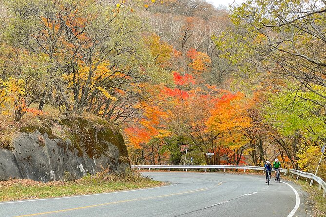 Akagi Mountain E-Bike Hill Climbing Tour - Gearing Up for the E-Bike Adventure