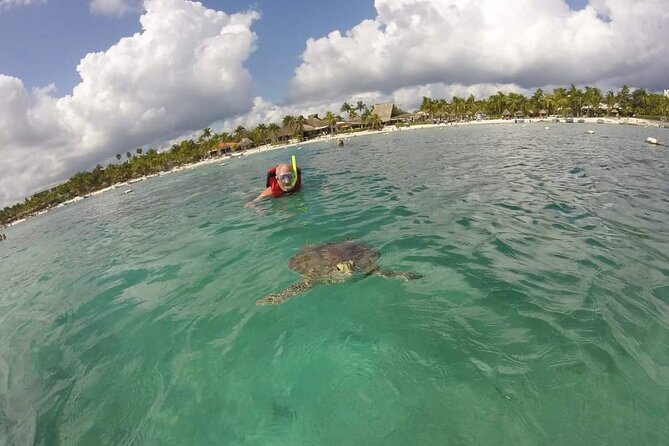 Akumal ,turtles and Gopro - Tips for Snorkeling With Turtles