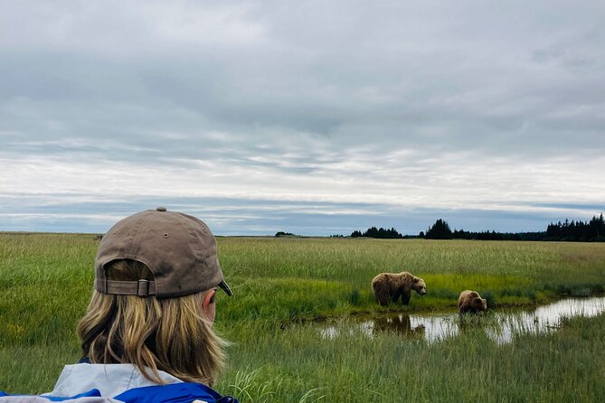 Alaska Bear Viewing Adventure From Seward - Wildlife Viewing Opportunities