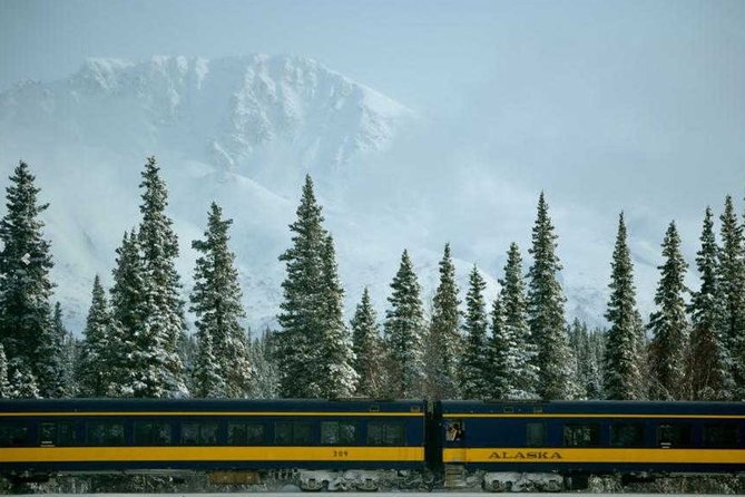 Alaska Railroad Anchorage to Denali One Way - Dining Options and Comfort on Board