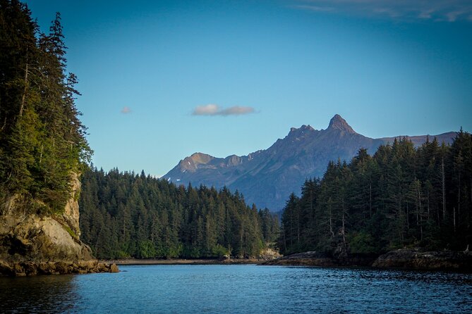 Alaska Wildlife Tour in Kachemak Bay - Boat and Group Size