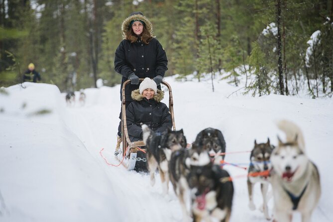 All in One Santa Claus Village With Husky Sledding Adventure - Domestic Animal Park