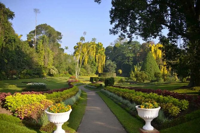 All Inclusive Kandy Private Day Tour From Colombo and Negombo - Dining Experience