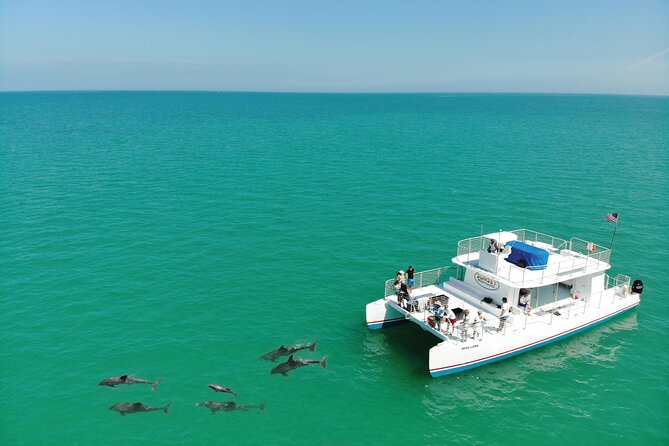 All-Inclusive Sandbar Safari With Dolphin Playground Encounter - Guest Feedback and Ratings