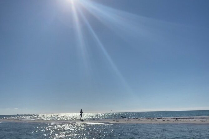 Anna Maria Island Private Sandbar Island Excursion - Snorkeling and Marine Life