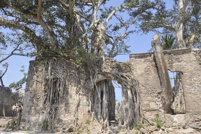 Antigua-Cempoala and Quiahuiztlan Archaeological Day Trip - Participant Requirements and Accessibility