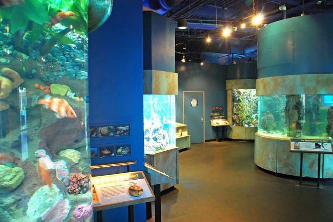 Aquarium of the Bay General Admission Ticket - Facility Amenities and Attractions