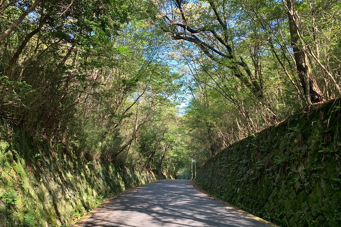 Arashiyama Kinkakuji Quiet Trail E-Bike Tour With Hotel Transfer - Important Information