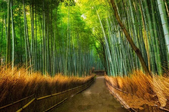 Arashiyama, Sanzenin and Bamboo Forest Day Tour From Kyoto/Osaka - Exploring Arashiyama