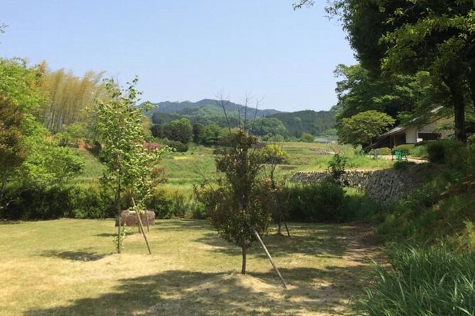 Asuka Private Full-Day Guided Tour From Kashihara - What to Expect