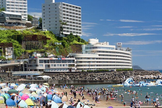 Atami Half-Day Private Tour With Government-Licensed Guide - Customizing Your Itinerary