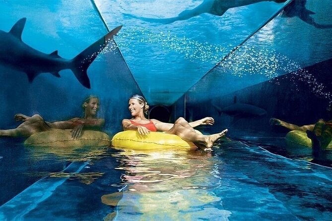 Atlantis Lost-Chamber Aquarium Dubai - Frequently Asked Questions