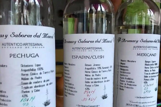 Authentic Ancestral and Artisanal Mezcal & Tequila Tasting - Snack Options Available