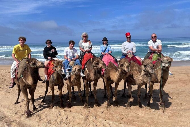 Authentic Private Tangier Tour From Tarifa Camel Ride & Lunch - Customer Reviews and Experiences