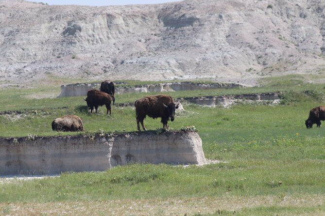 Badlands National Park Tour: A Review - Exceptional Service and Hospitality