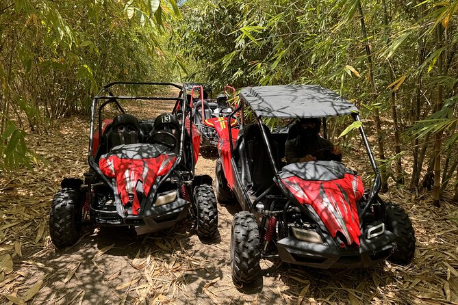 Bamboo Dune Buggy Tour - Highlights of the Adventure