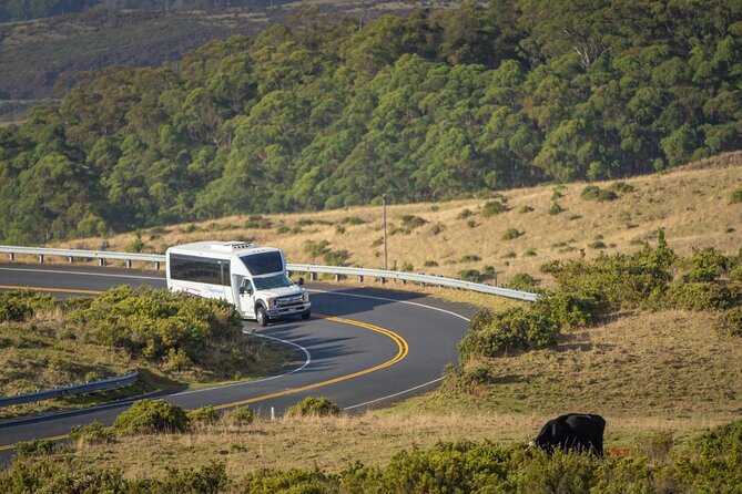 Best of Maui Tour: Sips, Sites and Bites With Lunch - Health and Safety Considerations