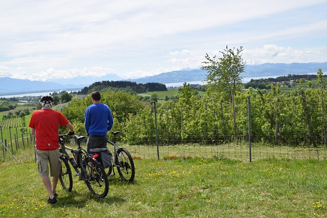 Bicycle Tour to Friedrichshafen With a Visit to the Zeppelin & Dornier Museum - Returning to the Meeting Point