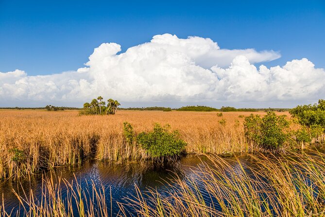 Big Cypress National Preserve Audio Tour Review - Booking Process