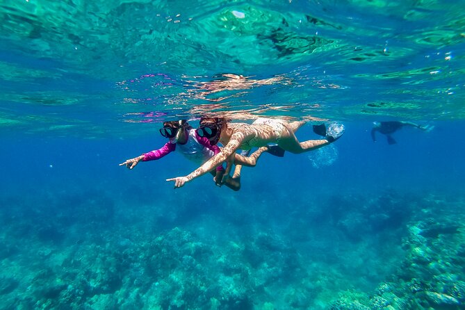 Big Island Snorkel Cruise From Waikoloa - Memorable Marine Life Sightings