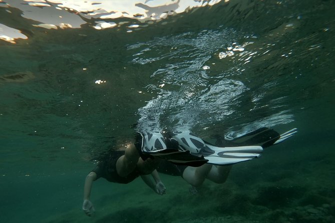 Blue Lagoon & Caves Comino Snorkeling Tour, Boat & Guide - Highlights of the Experience