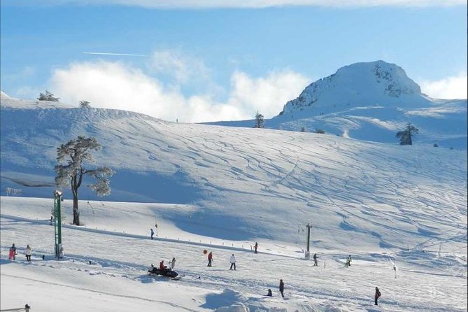 Bolu Kartalkaya Tour From Istanbul (SKI RESORT) Private VIP Minivan Best Quality - Why Choose This Tour