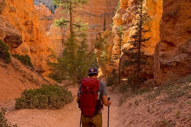 Bryce Canyon and Zion National Park Tour in Las Vegas - What to Expect on Tour
