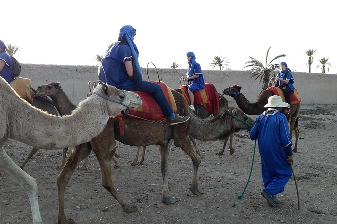 Camel Ride Adventure For Everyone - Traveler Reviews and Feedback