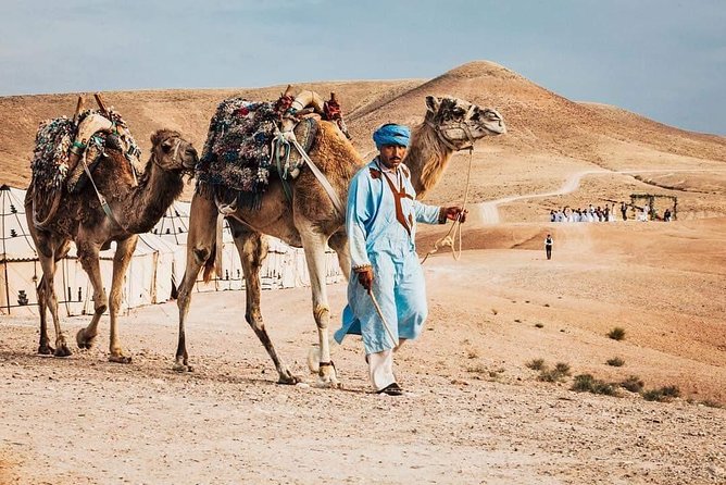 Camel Ride in Agafay Desert - Exploring the Agafay Desert