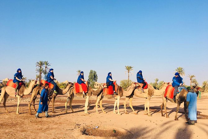 Camel Ride Tour in Marrakech - Tips for Travelers