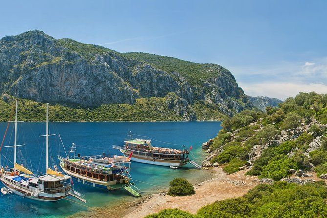 Camellia Island Boat Trip - Nearby Attractions and Activities