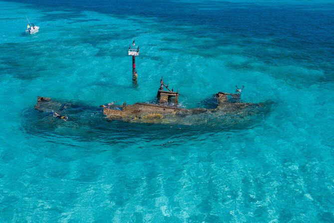Cancun Snorkeling Tour: Swim With Turtles, Reef, Underwater Museum and Shipwreck - Pricing Information