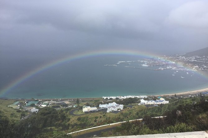 Cape of Good Hope-Penguin-Private Tour Combined With Wine Tasting Full Day Tour - Customer Reviews