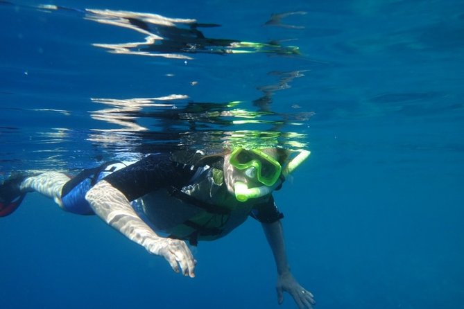 Captain Cook Snorkeling Cruise Review - Accessibility and Mobility Requirements