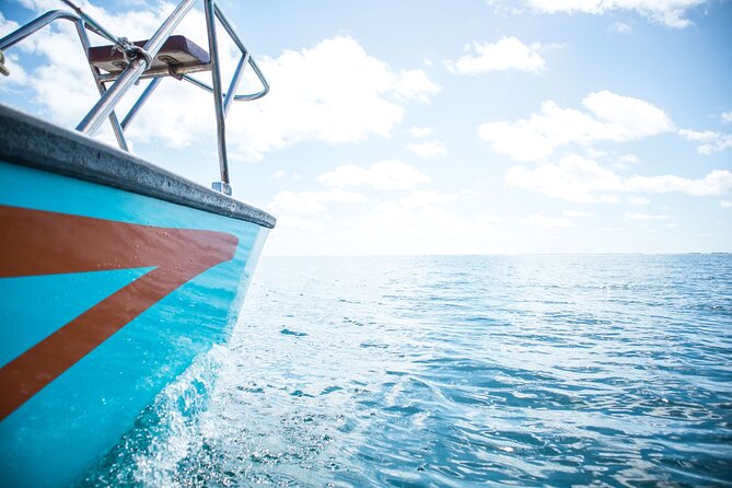 Catamaran Fullday Guided Tour to Ile Aux Cerfs From Pointe Jerome - Tips for a Great Experience