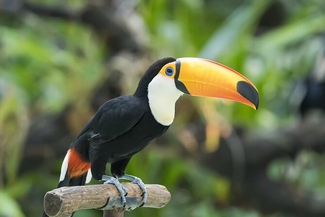 Central Park Zoo Skip-the-line Tickets Review - Frequently Asked Questions