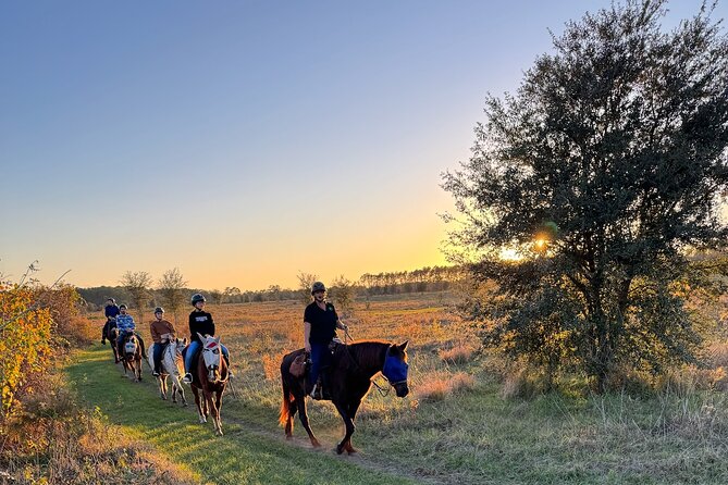 Champagne and Charcuterie Sunset Trail Ride Review - The Sunset Trail Ride Experience