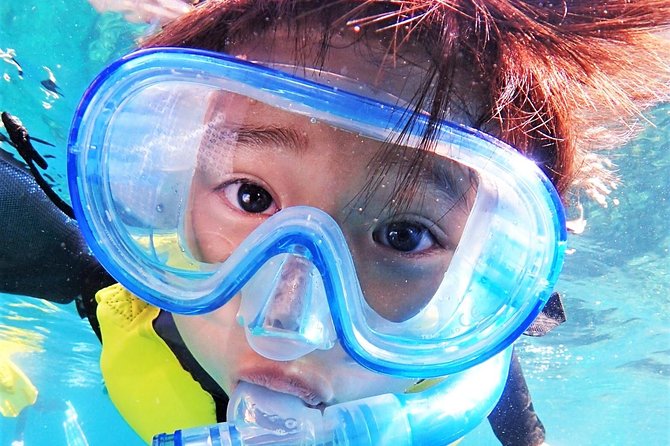 Charter Snorkeling (Near Churaumi Aquarium) Free Photo Gift - Exploring the Underwater World
