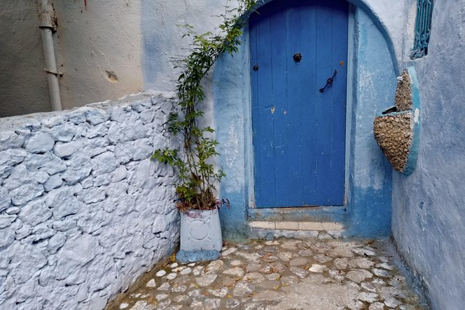 Chefchaouen Day Trip! The Blue Pearl - Tips for Your Visit